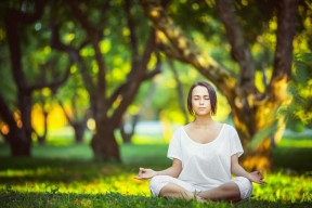 开云体育-冰与火之歌，匈牙利风暴席卷高卢雄鸡，范戴克铁血防线铸就C组经典之战