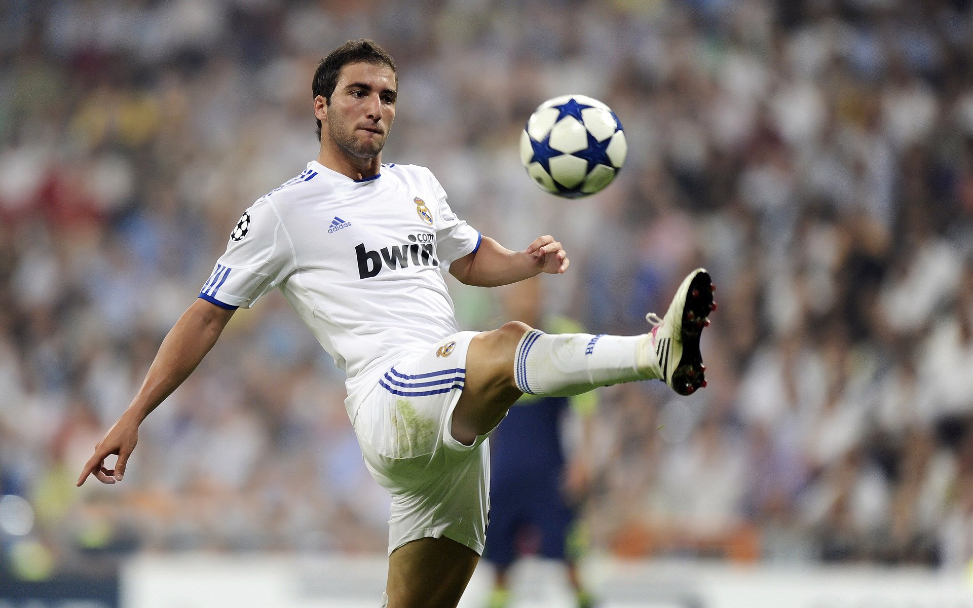 当罗马军团遇见雨林雄鹰，NBA总决赛背后的文明隐喻